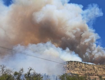 Alerta Roja para la comuna de San Bernardo por incendio forestal cercano a sectores habitados