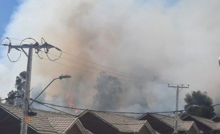 Controlan incendio forestal que consumió 3 hectáreas en Villa Alemana: cancelan la Alerta Roja y declaran Alerta Amarilla