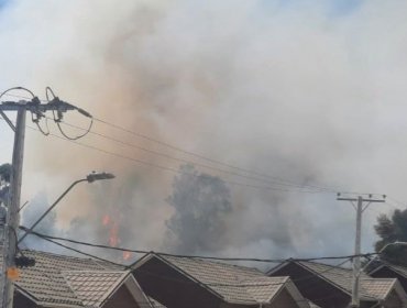 Controlan incendio forestal que consumió 3 hectáreas en Villa Alemana: cancelan la Alerta Roja y declaran Alerta Amarilla