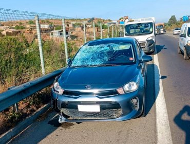 Ciclista pierde la vida tras ser colisionado por automóvil en el Troncal Sur de Quilpué: un segundo lesionado fue traslado al hospital