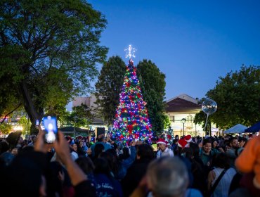 Polémica en Quilpué por costoso árbol navideño: administración Melipillán lo arrendó en 20 millones de pesos por sólo 21 días