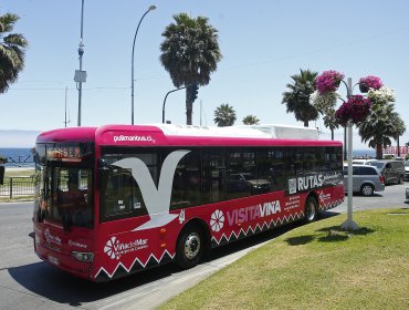 Bus eléctrico gratuito recorrerá el plan de Viña del Mar para reforzar el turismo sostenible