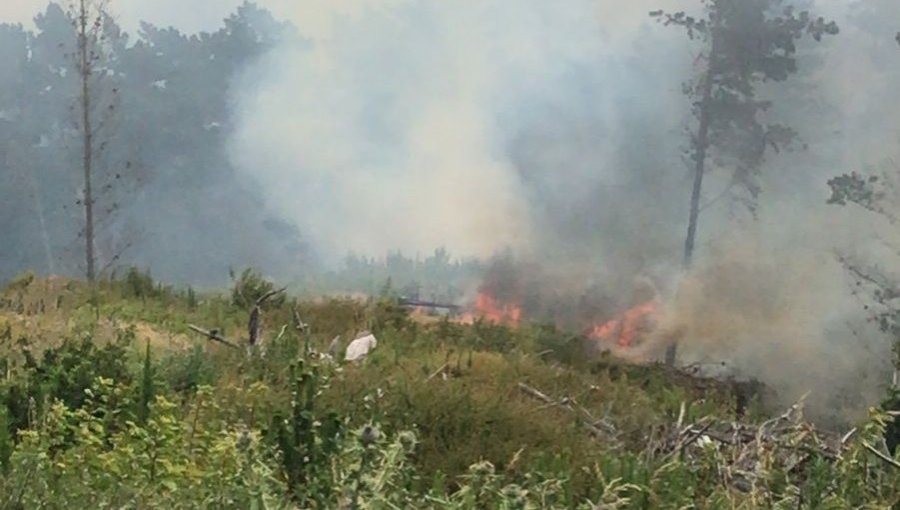 Bomberos y personal de Conaf combaten incendio forestal que afecta a sector de Laguna Verde en Valparaíso