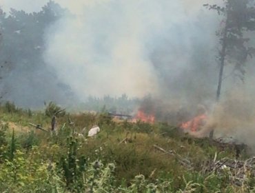 Declaran Alerta Roja para Valparaíso por incendio forestal que amenaza a viviendas en Laguna Verde