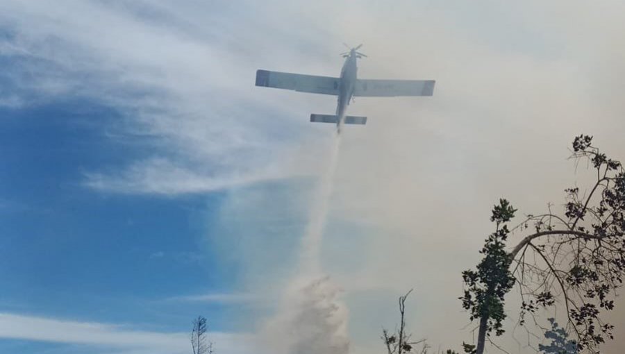 Solicitan evacuar los sectores El Palomar y Las Tórtolas por incendio forestal en Laguna Verde de Valparaíso