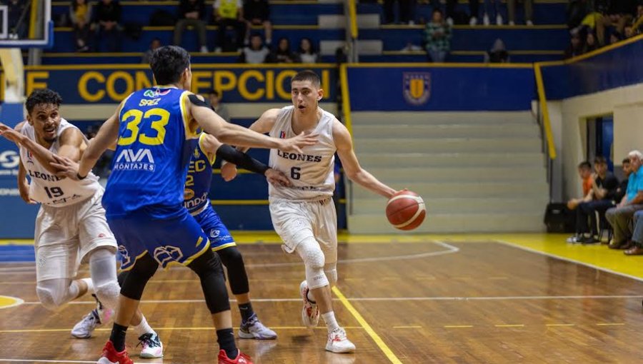 Los Leones de Quilpué lucharán por la Copa Chile de básquetbol ante U. de Concepción