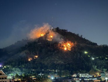 Senapred cifra en 2 las hectáreas consumidas por incendio en ladera del cerro San Cristóbal: Conaf sospecha de origen intencional