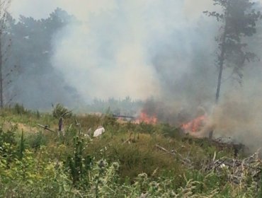 Bomberos y personal de Conaf combaten incendio forestal que afecta a sector de Laguna Verde en Valparaíso