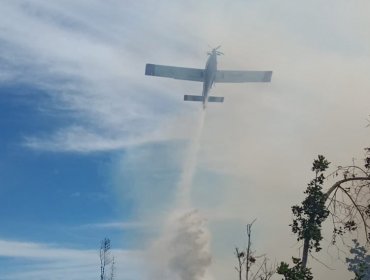 Solicitan evacuar los sectores El Palomar y Las Tórtolas por incendio forestal en Laguna Verde de Valparaíso