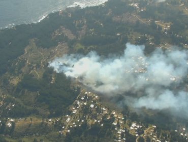 10 hectáreas ha consumido el incendio forestal que presenta cercanía a sectores habitados en Laguna Verde de Valparaíso