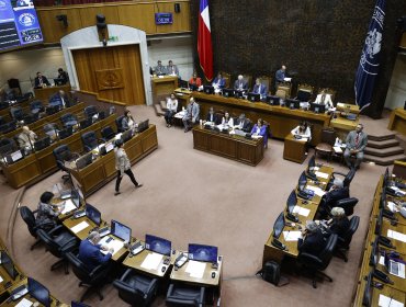 Senado despachó de 22 de los 31 proyectos priorizados de la agenda de seguridad