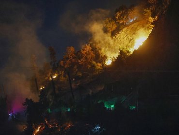 Alcalde de Recoleta se querella contra quienes resulten responsables del incendio que afectó al cerro San Cristóbal