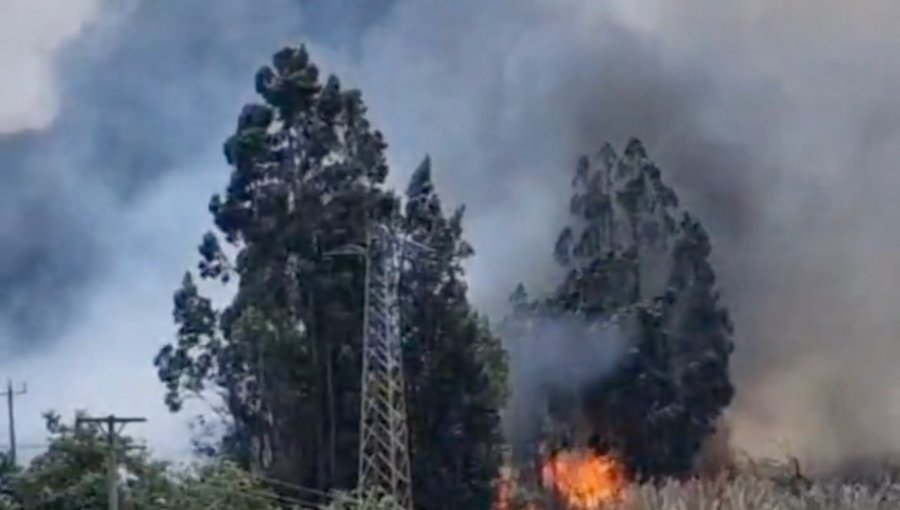 Incendio en Nogales logra ser extinguido por personal de bomberos y brigadistas de Conaf