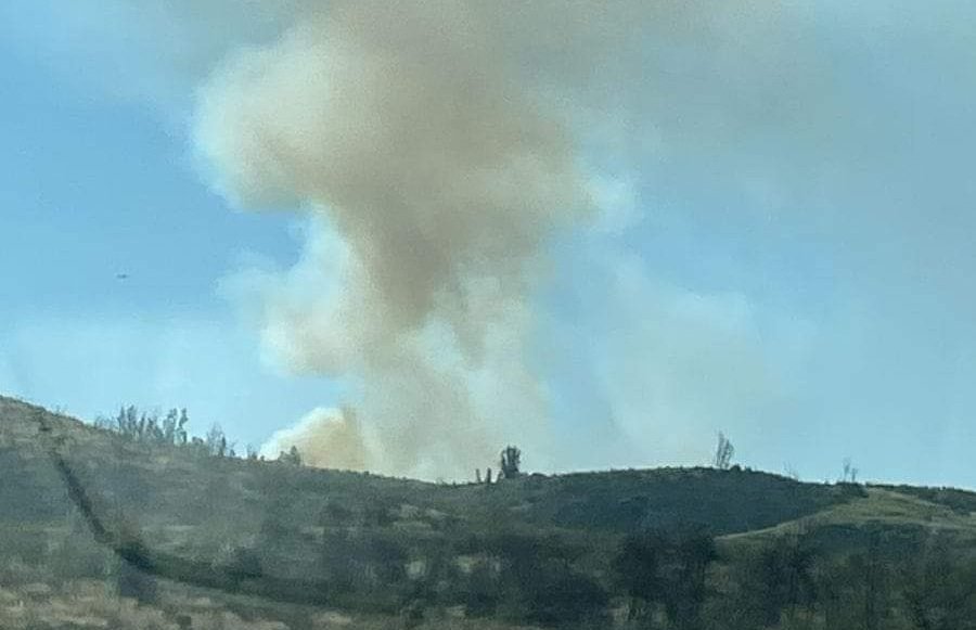 Declaran Alerta Roja Para Valparaíso Por Incendio Forestal Que Amenaza A La Reserva Lago 6537