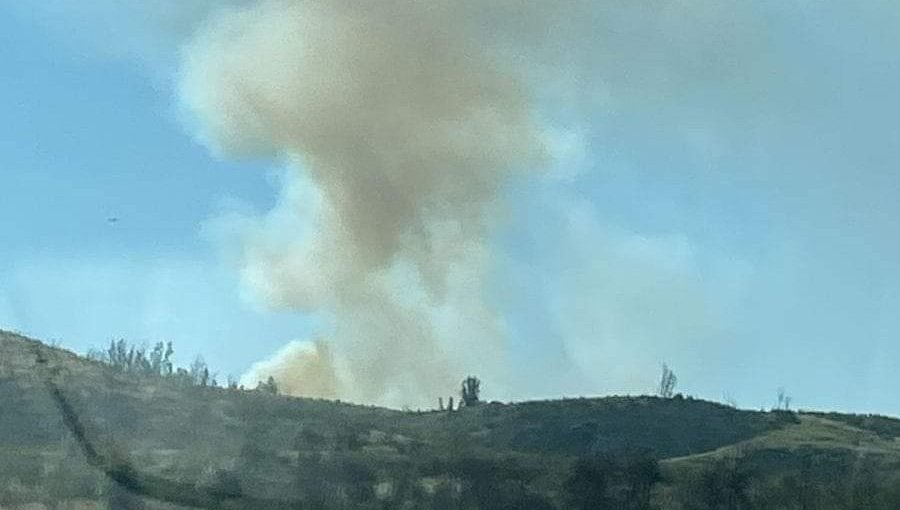 Declaran Alerta Roja para Valparaíso por incendio forestal que amenaza a la Reserva Lago Peñuelas