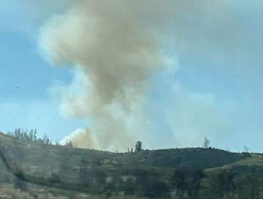 Declaran Alerta Roja para Valparaíso por incendio forestal que amenaza a la Reserva Lago Peñuelas