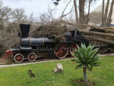 Alerta Amarilla por fuertes vientos que provocaron cortes de energía en Copiapó