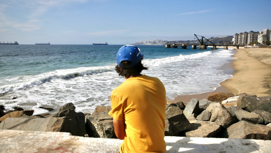 SHOA descartó riesgo de tsunami en las costas de Chile producto del terremoto en Japón