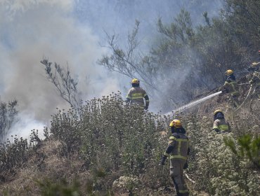 Cancelan la Alerta Amarilla para la comuna de Valparaíso por incendio forestal que consumió 19,1 hectáreas
