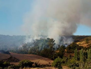 CONAF combate incendios forestales en Casablanca y La Ligua