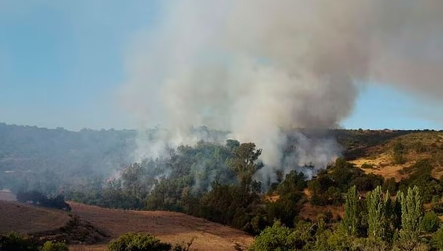 CONAF combate incendios forestales en Casablanca y La Ligua