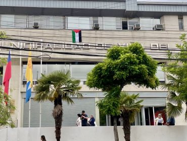 Municipalidad de Viña del Mar luce bandera palestina en el frontis de su edificio consistorial