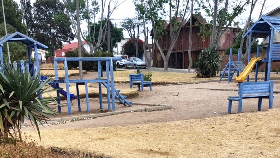 Total abandono de áreas verdes en Concón: plazas y parques al borde de secarse y Alcalde reconoce "negligencia" municipal