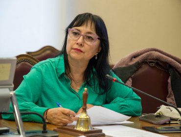 Diputada Marzán fiscaliza conflicto por acceso a vuelos para isleños de Rapa Nui