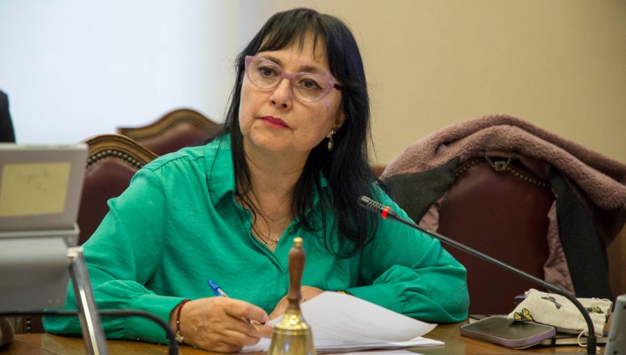 Diputada Marzán fiscaliza conflicto por acceso a vuelos para isleños de Rapa Nui