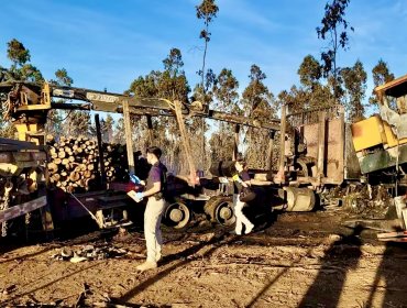 La CAM se adjudicó atentado incendiario registrado en faena forestal de Nueva Imperial