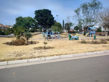 El desastre de las áreas verdes de Concón: fotos dejan al descubierto el antes y el después