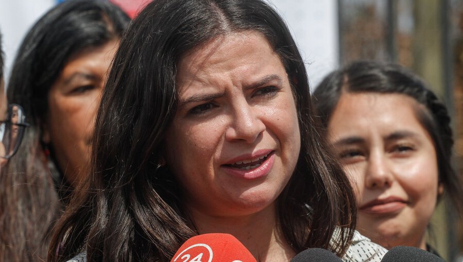 Ministra de la Mujer por detención de Pradenas: "Se repite generación tras generación. Hay un aprendizaje de la violencia"