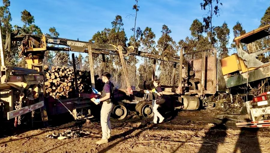 La CAM se adjudicó atentado incendiario registrado en faena forestal de Nueva Imperial