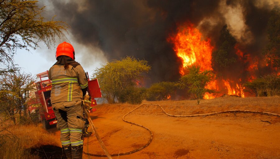 Uno de cada tres incendios forestales de últimos 20 años en el país tuvo origen intencional