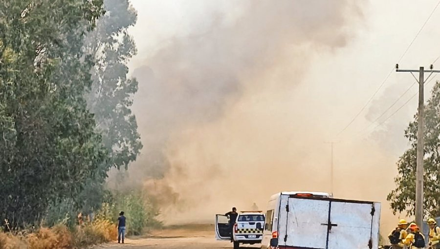 Controlan incendio forestal por el que decretaron Alerta Amarilla para Cartagena: siniestro ha consumido 7,4 hectáreas