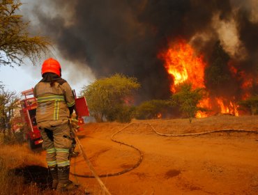 Uno de cada tres incendios forestales de últimos 20 años en el país tuvo origen intencional