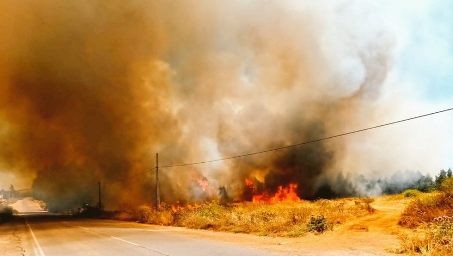 Declaran Alerta Amarilla por "comportamiento extremo" de incendio forestal que afecta a Cartagena