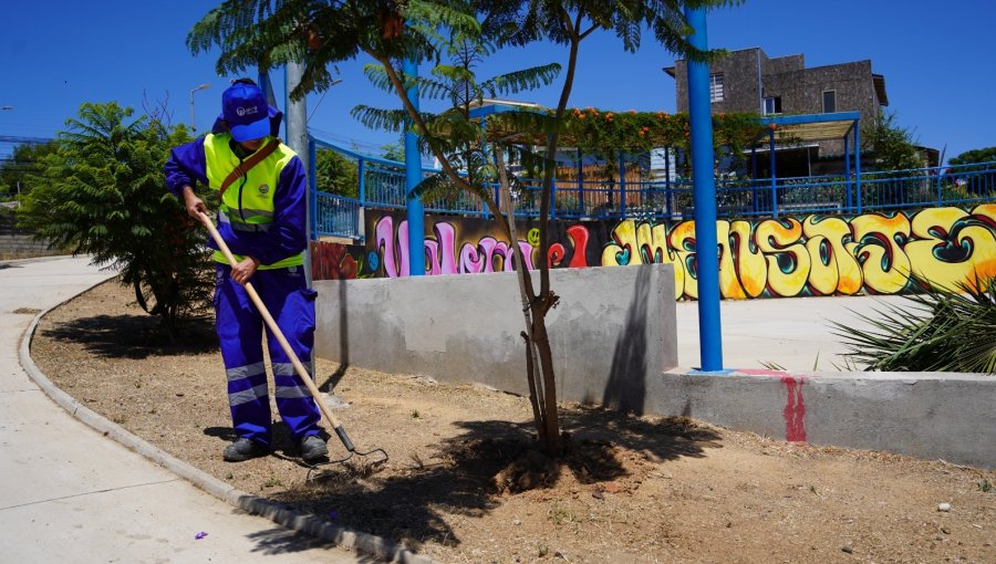 Municipio de Villa Alemana ampliará el servicio de mantención de áreas verdes y doblará la frecuencia del barrido de calles