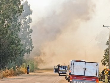 Controlan incendio forestal por el que decretaron Alerta Amarilla para Cartagena: siniestro ha consumido 7,4 hectáreas