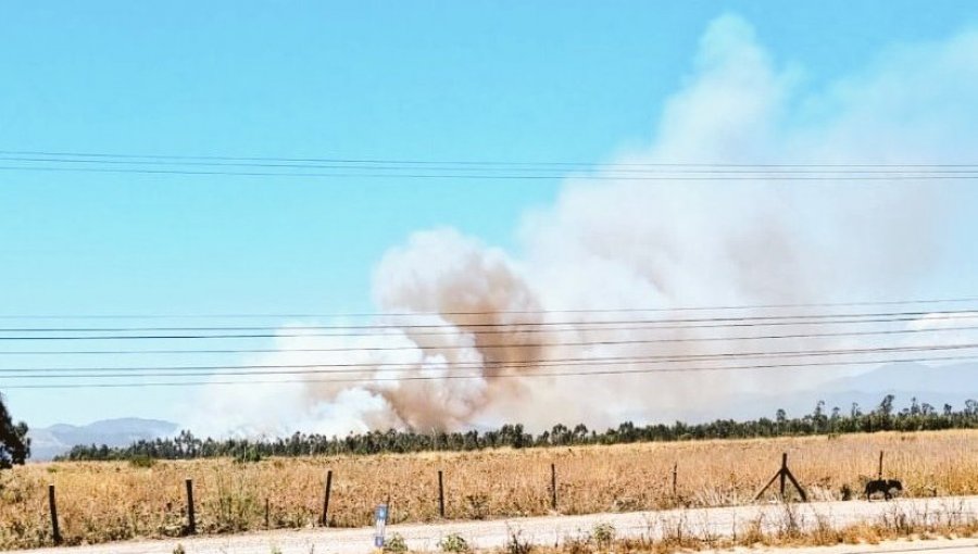 Cancelan la Alerta Amarilla para la comuna de Cartagena luego de que fuera controlado el incendio forestal