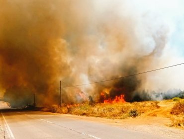 Declaran Alerta Amarilla por "comportamiento extremo" de incendio forestal que afecta a Cartagena