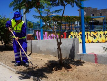 Municipio de Villa Alemana ampliará el servicio de mantención de áreas verdes y doblará la frecuencia del barrido de calles