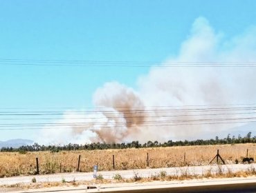 Cancelan la Alerta Amarilla para la comuna de Cartagena luego de que fuera controlado el incendio forestal