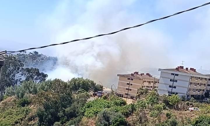 Controlan incendio forestal en cerro Rodelillo de Valparaíso que estuvo cerca de propagarse a zona residencial