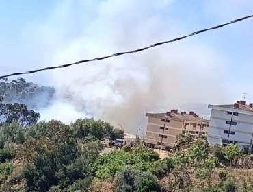 Controlan incendio forestal en cerro Rodelillo de Valparaíso que estuvo cerca de propagarse a zona residencial