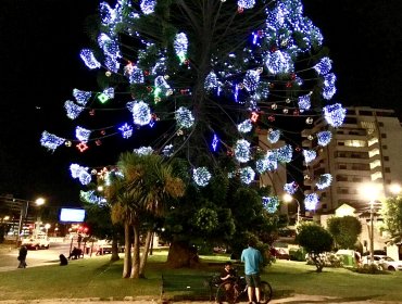 Día clave en Viña del Mar para descubrir quién está detrás del millonario negocio de la publicidad y las luces ornamentales