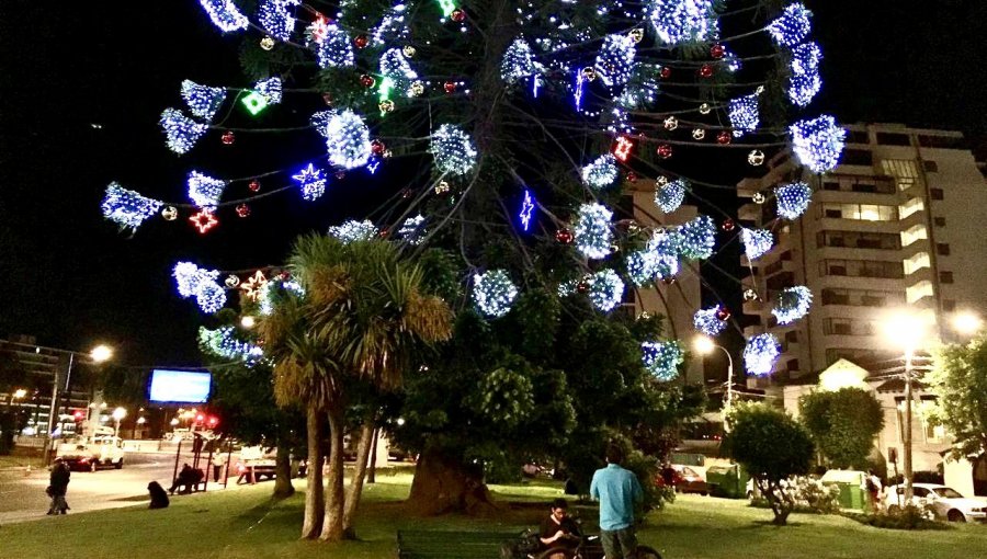 Día clave en Viña del Mar para descubrir quién está detrás del millonario negocio de la publicidad y las luces ornamentales