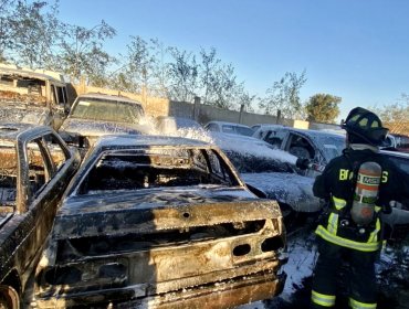 Concejales de Viña critican al «Municipio de Cuidados» por caos en parqueadero: "Tienen escaso resguardo de los bienes municipales"