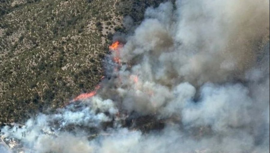 Incendio forestal en el sector Los Yuyos de Colliguay en Quilpué se mantiene "activo con rápida propagación"