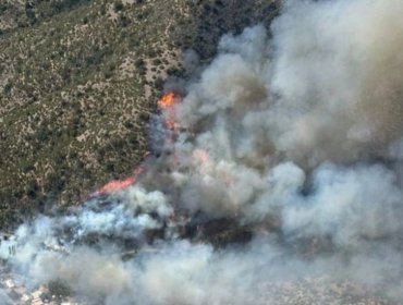Incendio forestal en el sector Los Yuyos de Colliguay en Quilpué se mantiene "activo con rápida propagación"